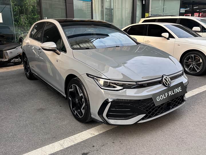 Volkswagen Golf 2025 2025款 300TSI R-Line