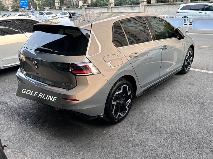 Volkswagen Golf 2025 2025款 300TSI R-Line