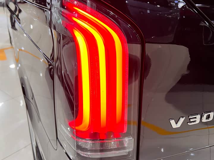 Mercedes-Benz V-Class 2024 2024款 V 300 L 长轴距豪华版