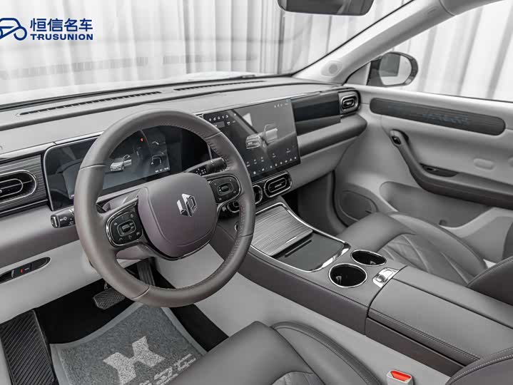 Leapmotor C11 2024 2024款 纯电 580尊享版