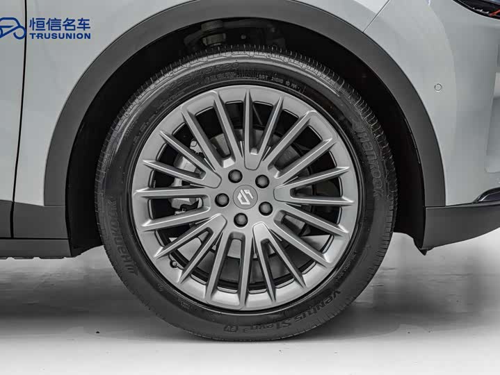 Leapmotor C11 2024 2024款 纯电 580尊享版