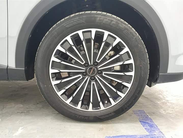 Exeed RX C-DM Hybrid 2024 2024款 1.5T 长续航Pro