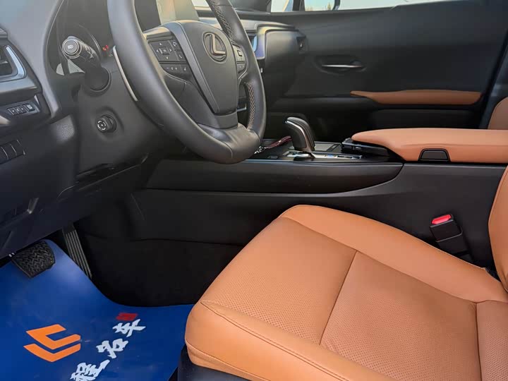 Lexus UX Hybrid 2020 2020款 300e 纯·悦版