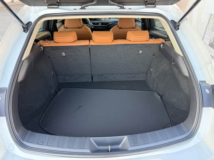 Lexus UX Hybrid 2020 2020款 300e 纯·悦版