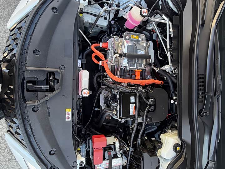 Lexus UX Hybrid 2020 2020款 300e 纯·悦版