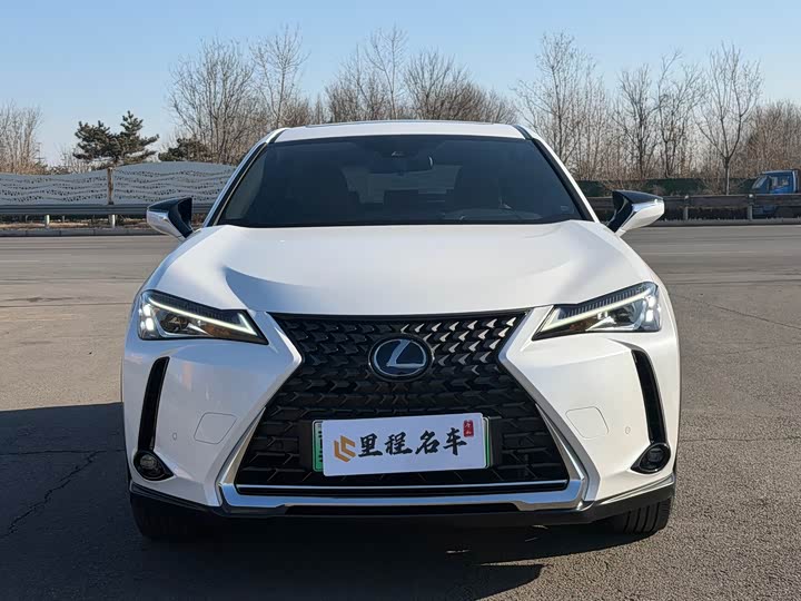 Lexus UX Hybrid 2020 2020款 300e 纯·悦版