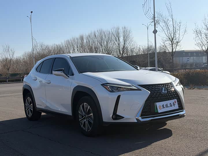 Lexus UX Hybrid 2020 2020款 300e 纯·悦版