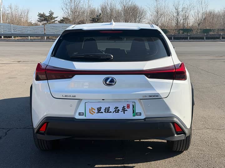 Lexus UX Hybrid 2020 2020款 300e 纯·悦版