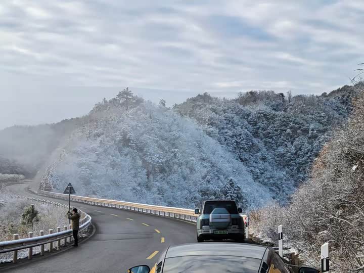 Lotus Emira 2021 2021款 2.0T DCT First Edition