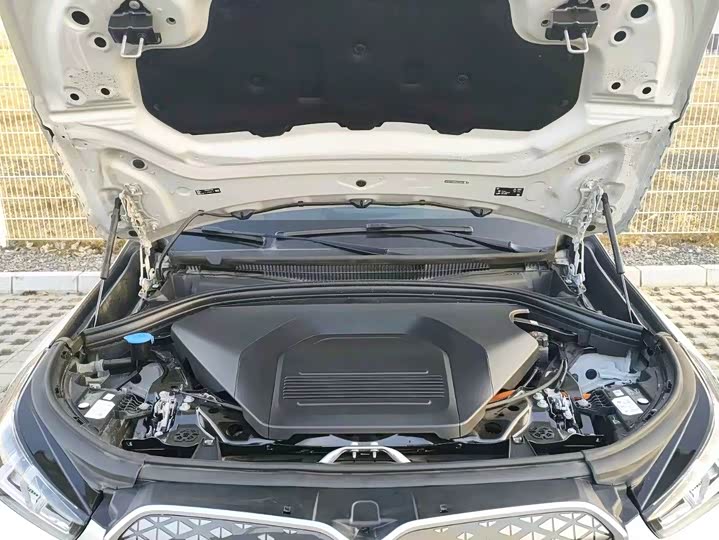 BMW iX1 2023 2023款 xDrive30L X设计套装