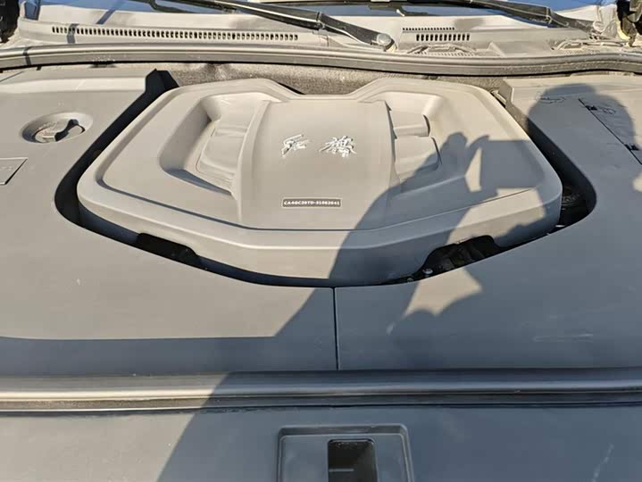 Hongqi HS7 2022 2022款 2.0T DCT两驱智联旗畅版 五座