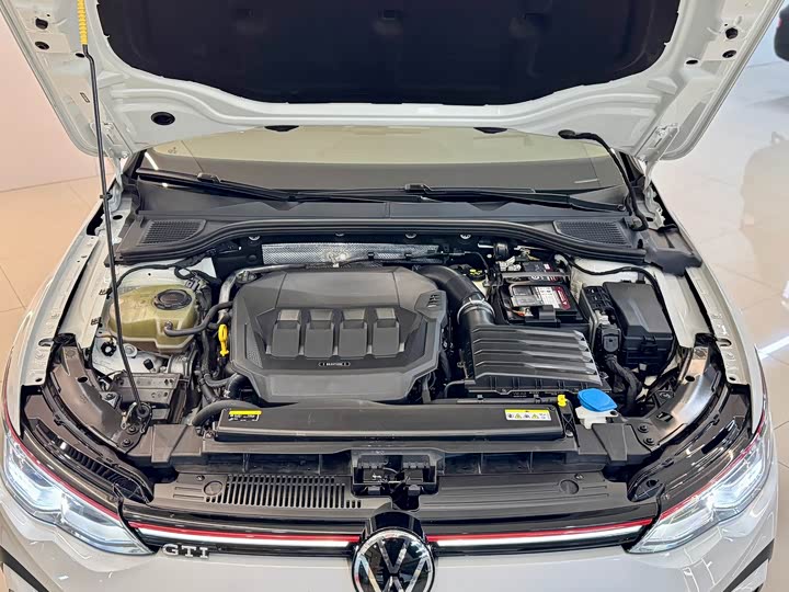 Volkswagen Golf GTI 2021 2021款 改款 380TSI DSG GTI