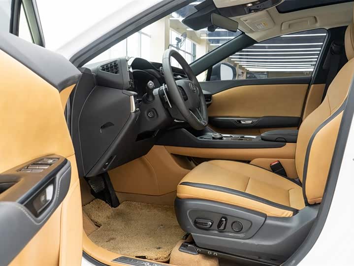 Lexus RZ 2023 2023款 450e 四驱纵享版