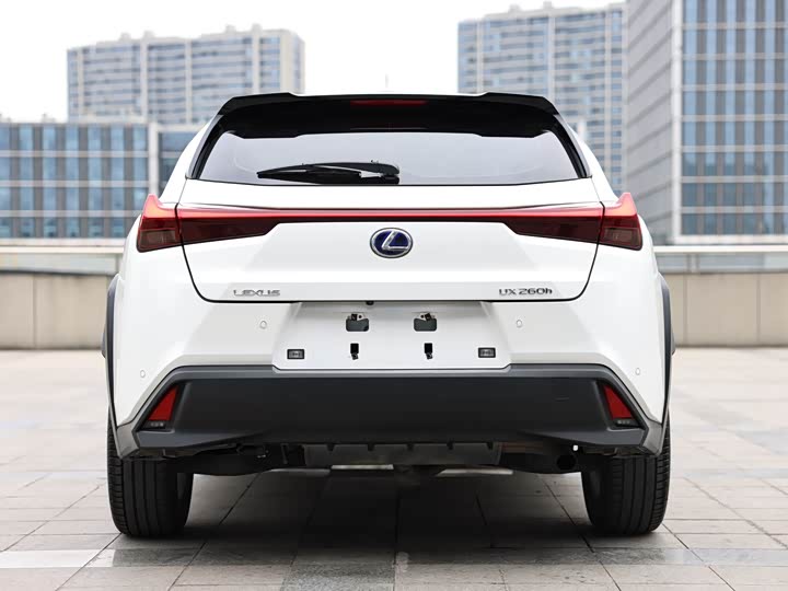 Lexus UX 2020 2020款 改款 260h 探·享版
