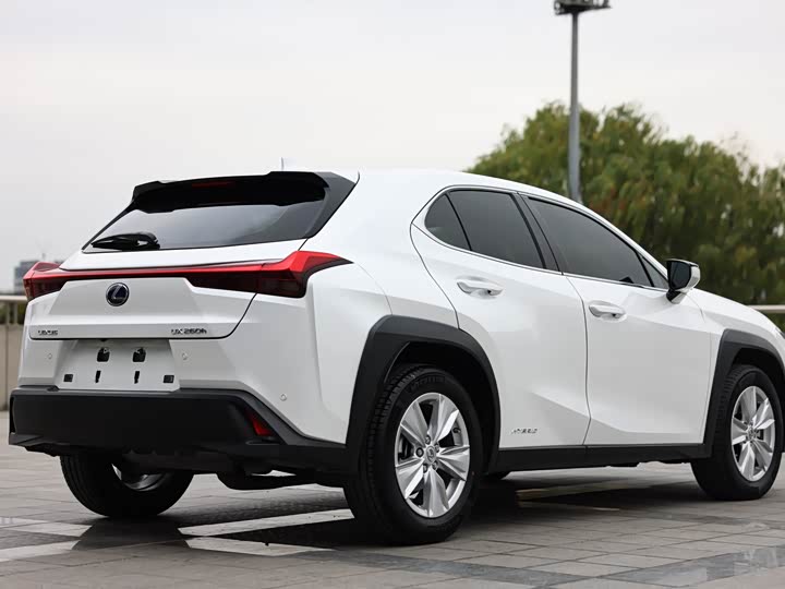 Lexus UX 2020 2020款 改款 260h 探·享版