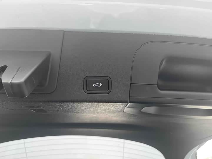 Geely Tugella S 2021 2021款 2.0TD DCT两驱闪电版