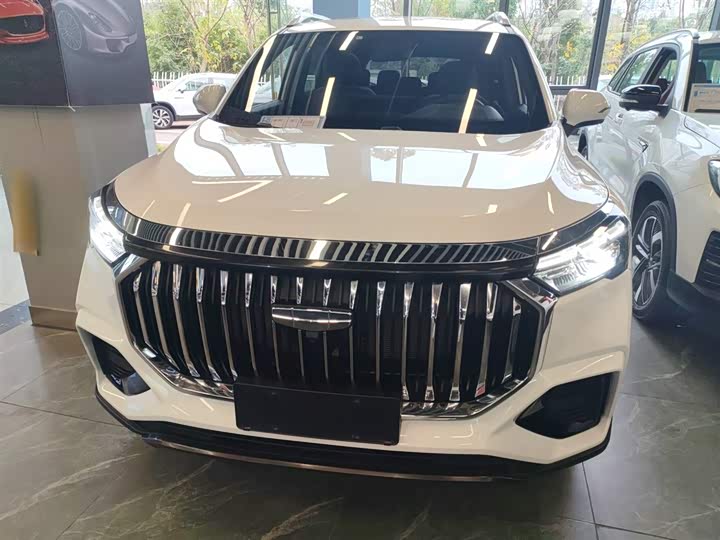 Geely Okavango L 2024 2024款 2.0T DCT尊贵型