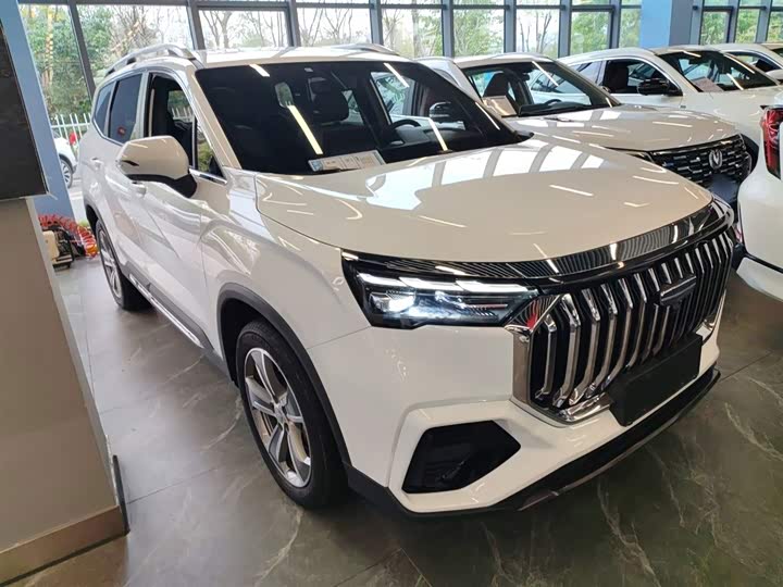 Geely Okavango L 2024 2024款 2.0T DCT尊贵型