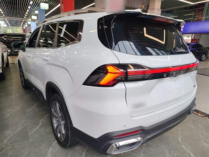 Geely Okavango L 2024 2024款 2.0T DCT尊贵型