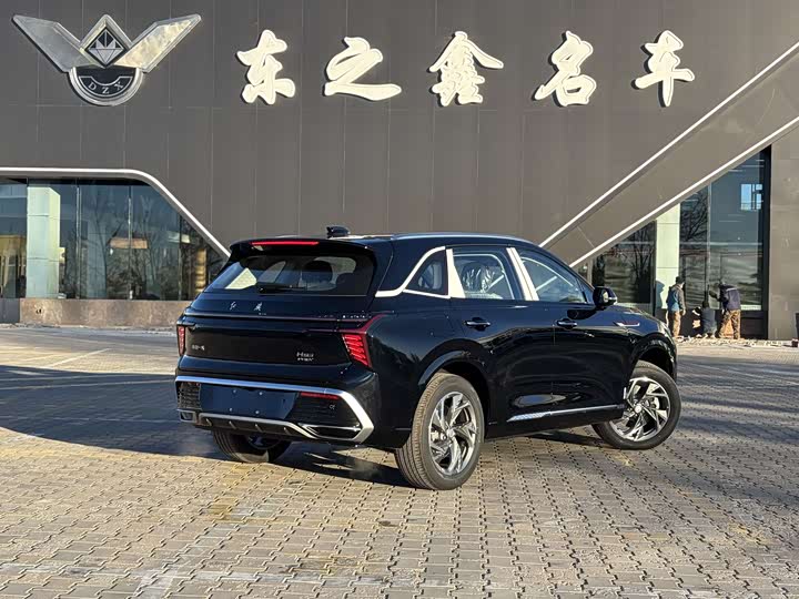 Hongqi HS3 Hybrid 2025 2025款 125km 劲为PLUS 200万辆纪念版