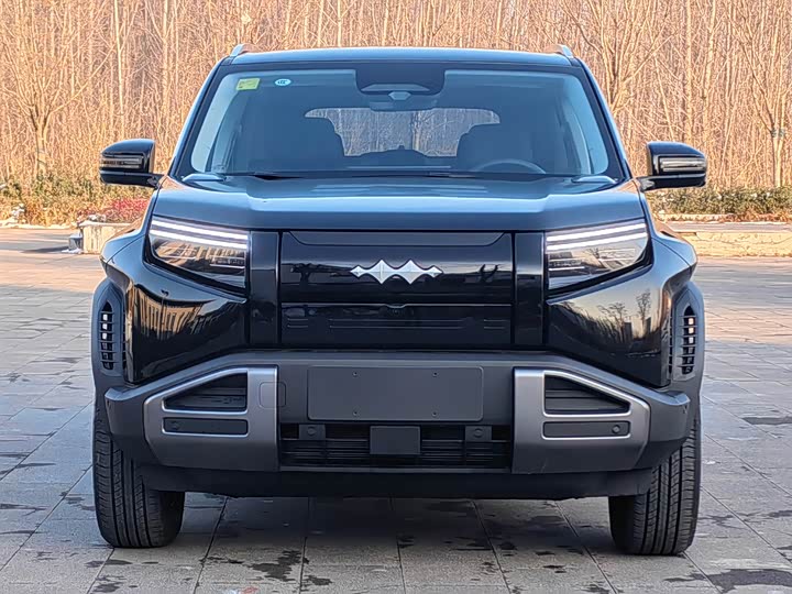 BYD FangChengBao Titanium 3 (Tai 3) 2025 2025款 501KM 后驱Max版