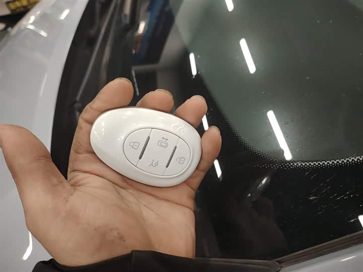 BAIC Arcfox Kaola S 2024 2024款 AIR