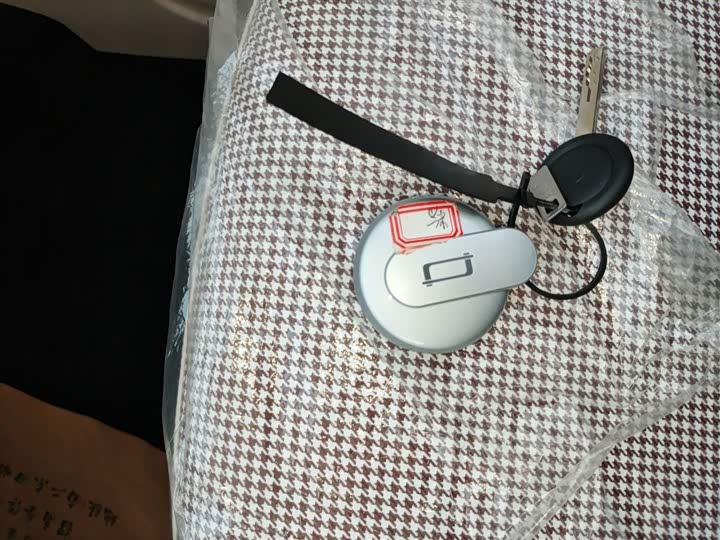 Bestune Pony 2026 2026款 222km 萌趣马 Plus