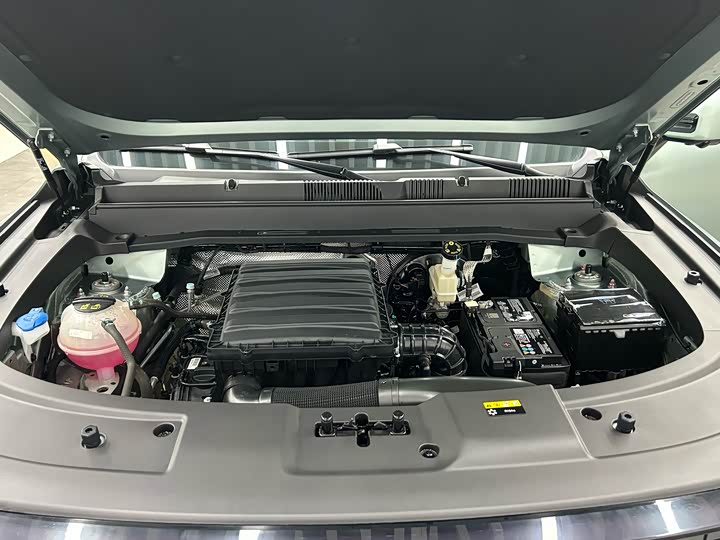 Jetour Freedom 2025 2025款 2.0TD XWD征服