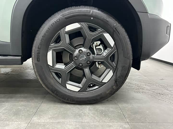 Jetour Freedom 2025 2025款 2.0TD XWD征服