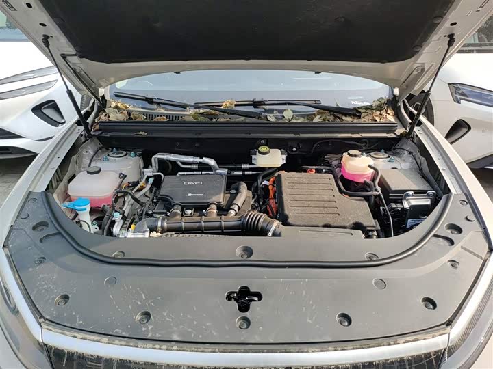 BYD Sea Lion 05 DM-i Hybrid 2025 2025款 DM-i 智驾版 115KM旗舰型