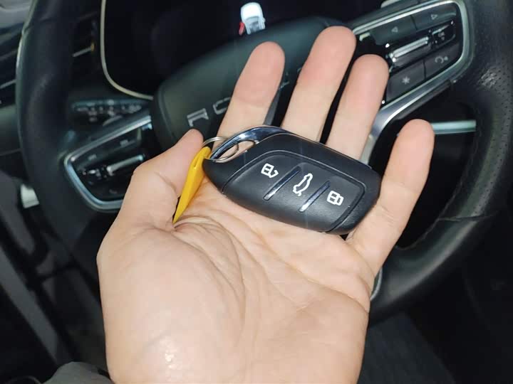 Roewe RX5 eMax 2020 2020款 500PHEV 4G互联豪华版