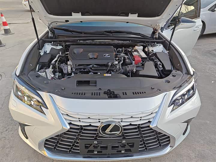 Lexus ES 2025 2025款 200 臻享版