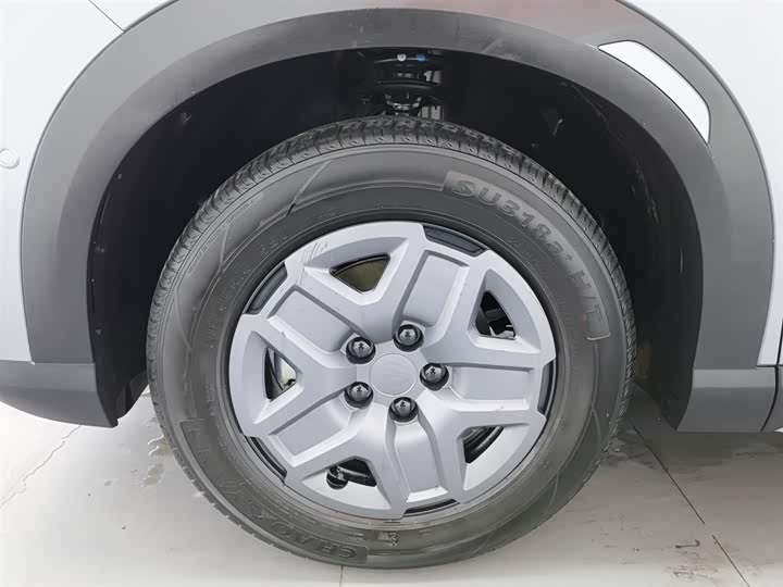 BYD Yuan Up 2025 2025款 智驾版 401KM 活力版