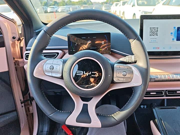 BYD Seagull 2025 2025款 305km 自由版