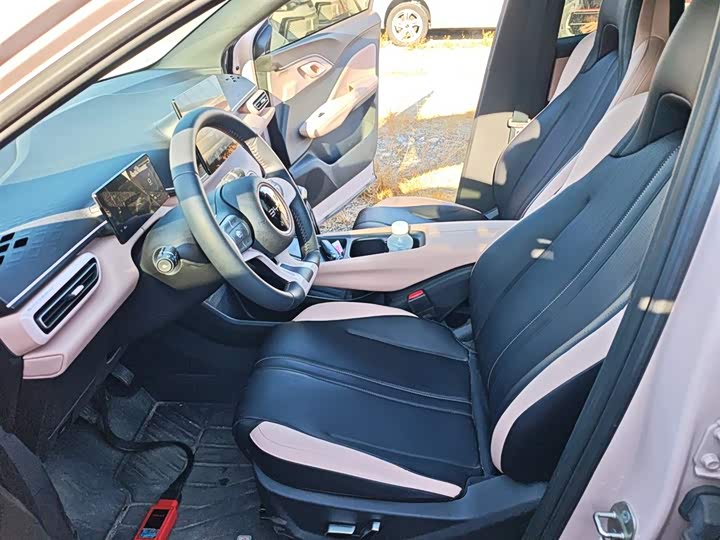 BYD Seagull 2025 2025款 305km 自由版