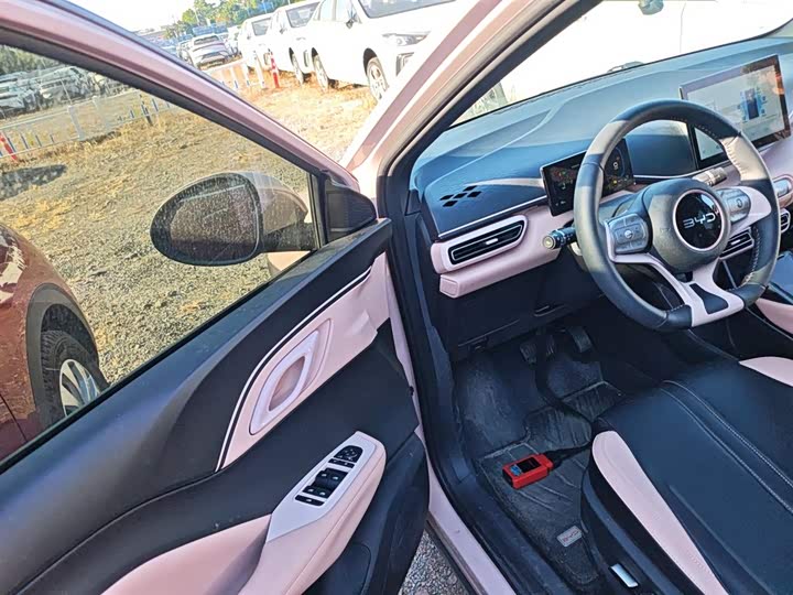 BYD Seagull 2025 2025款 305km 自由版