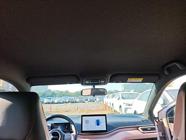 BYD Seagull 2025 2025款 305km 自由版