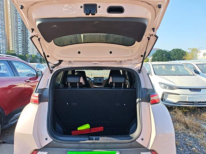 BYD Seagull 2025 2025款 305km 自由版