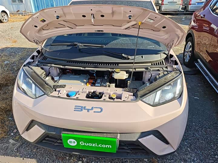 BYD Seagull 2025 2025款 305km 自由版