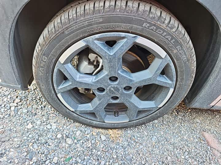 BYD Seagull 2025 2025款 305km 自由版