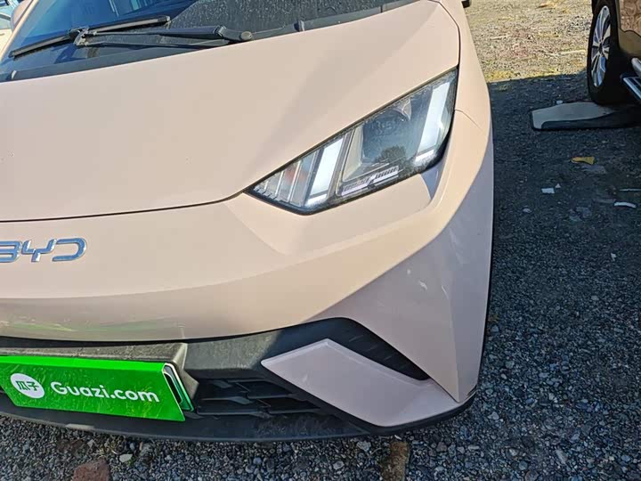 BYD Seagull 2025 2025款 305km 自由版