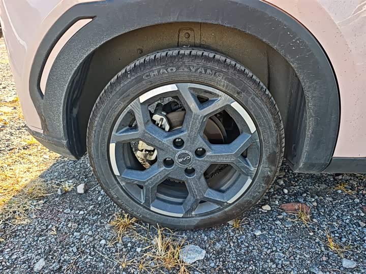 BYD Seagull 2025 2025款 305km 自由版