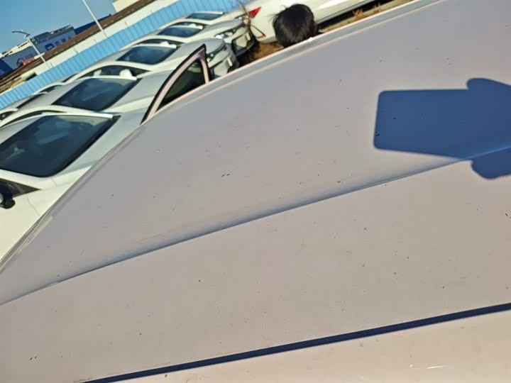 BYD Seagull 2025 2025款 305km 自由版