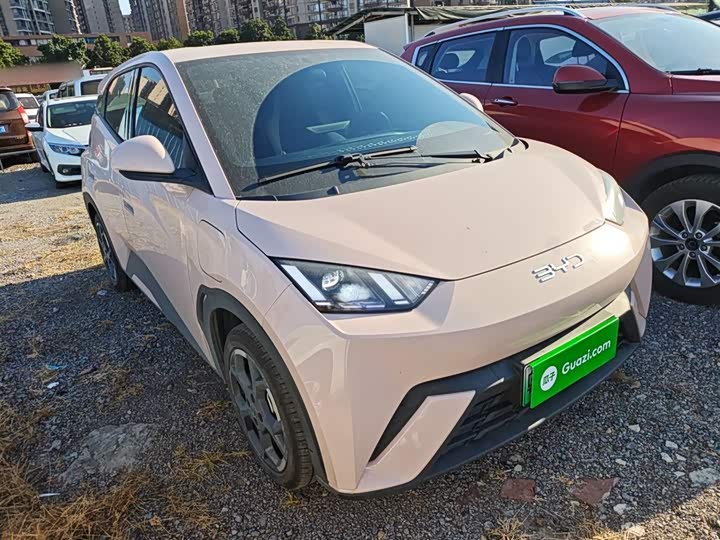 BYD Seagull 2025 2025款 305km 自由版