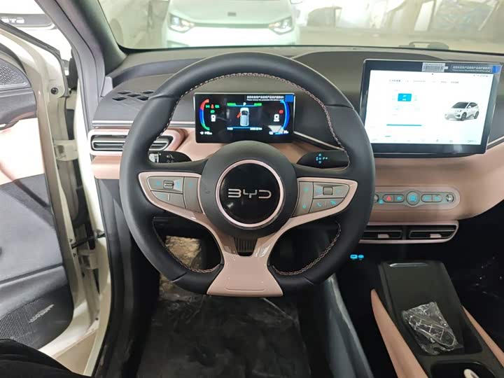 BYD Seagull 2025 2025款 智驾版 405km 自在版