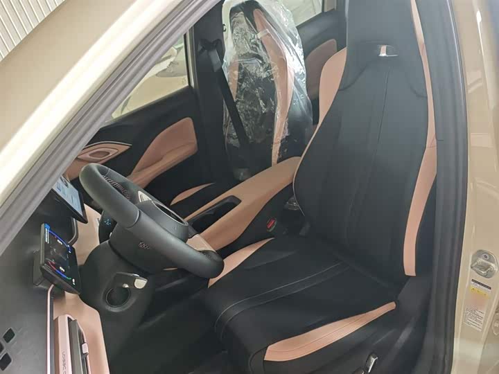 BYD Seagull 2025 2025款 智驾版 405km 自在版