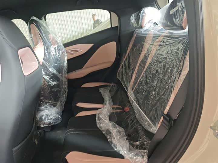 BYD Seagull 2025 2025款 智驾版 405km 自在版