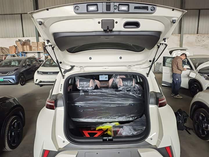 BYD Seagull 2025 2025款 智驾版 405km 自在版