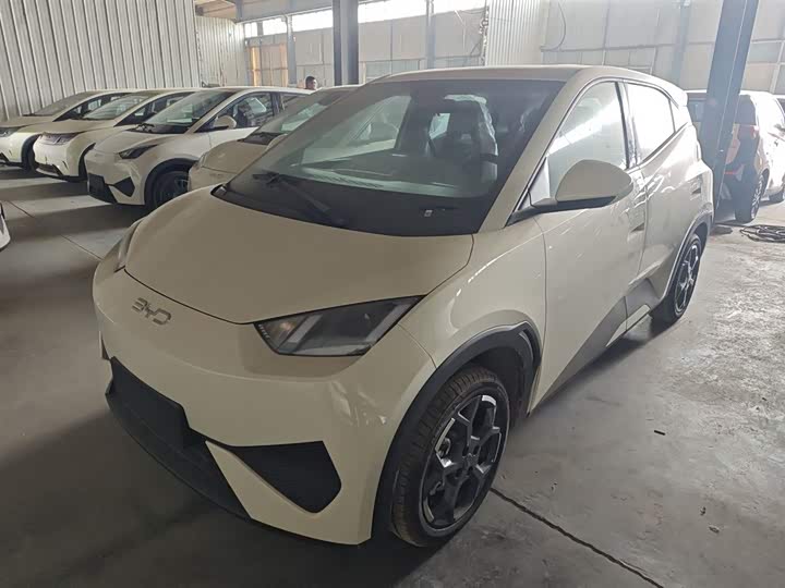 BYD Seagull 2025 2025款 智驾版 405km 自在版