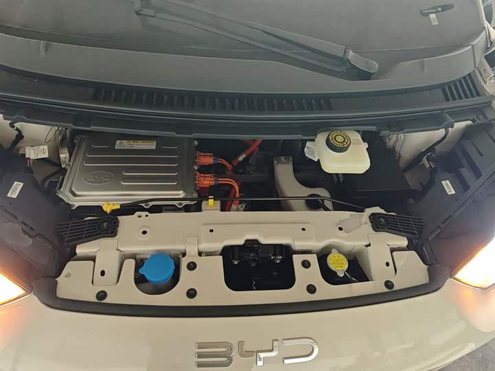 BYD Seagull 2025 2025款 智驾版 405km 自在版